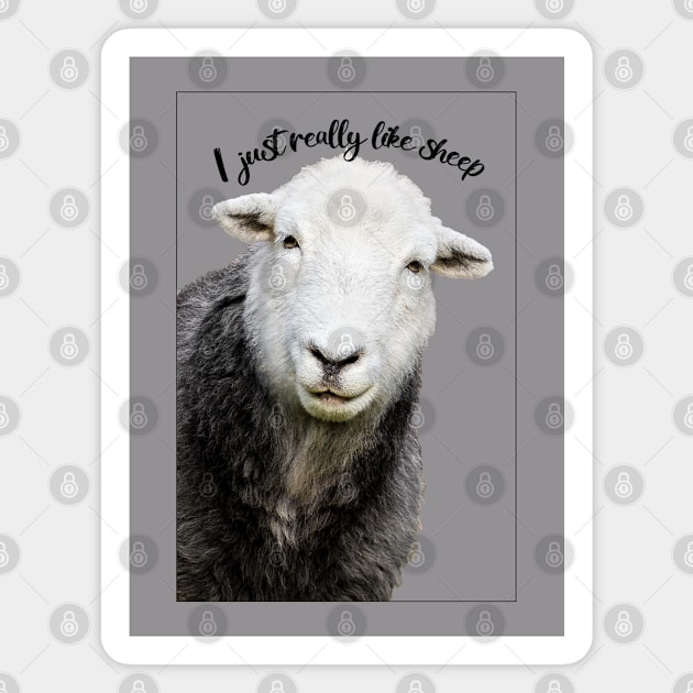 I Just Really Like Sheep Magnet by Jane Stanley Photography